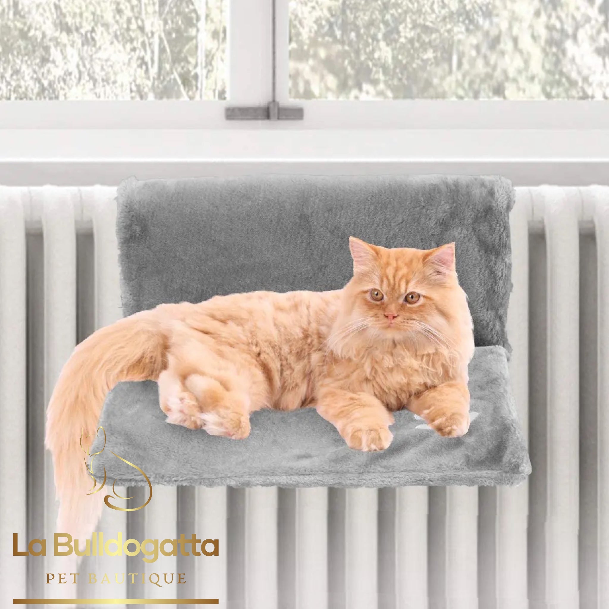 Cat radiator bed hotsell