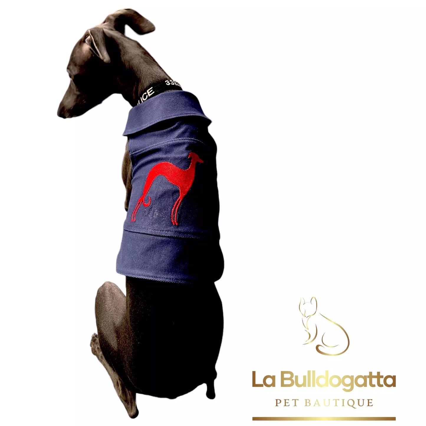 jeans shirt with greyhound embroidery SMALL ITALIAN GREYHOUND