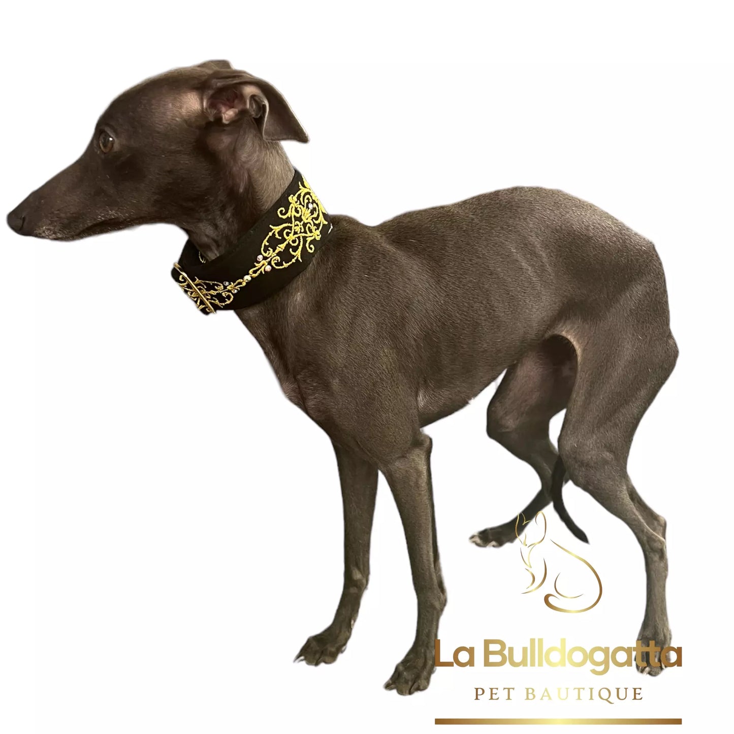 Adjustable collar 40 mm Ramage1 Black Gold Crystals SMALL ITALIAN GREYHOUND