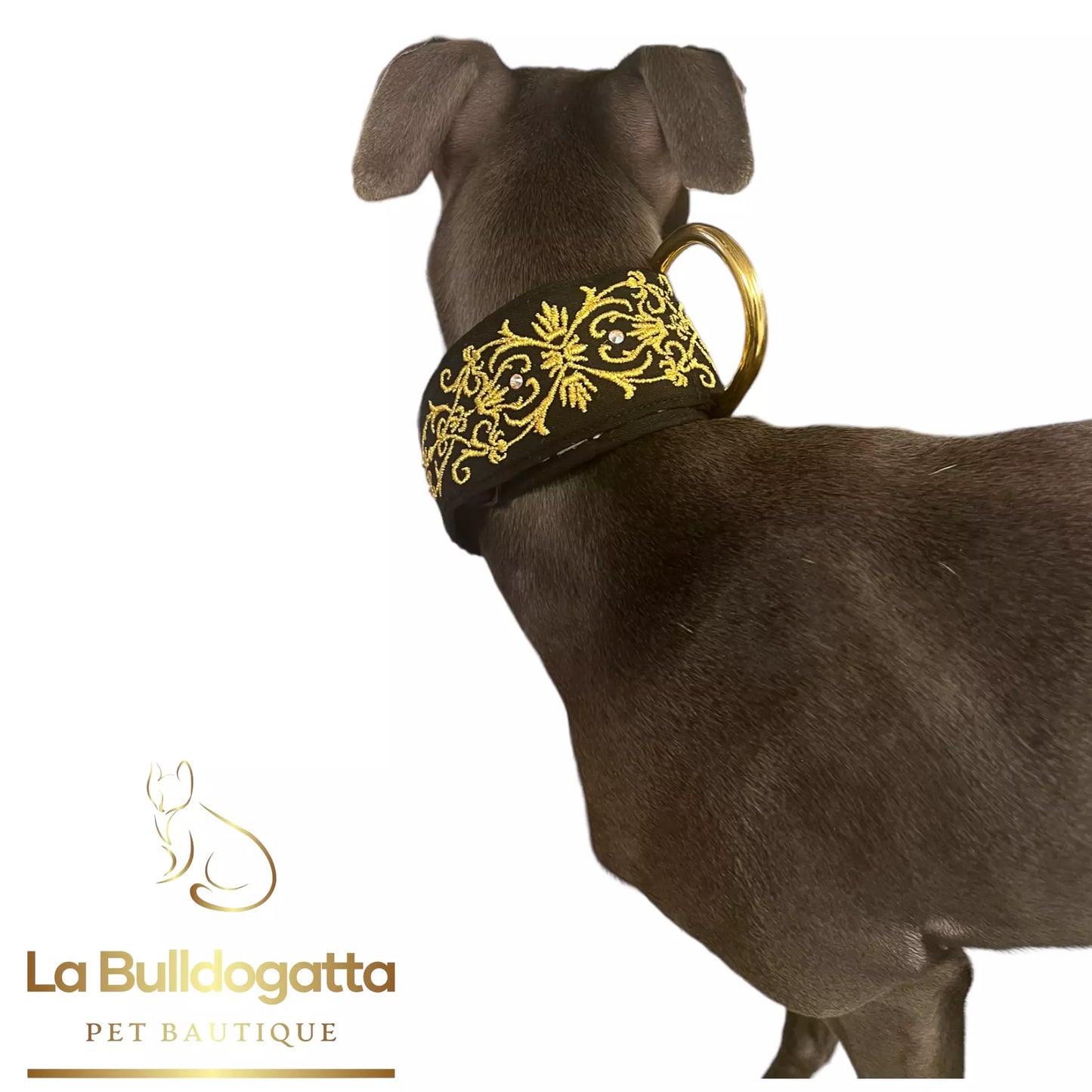 Adjustable collar 40 mm Ramage1 Black Gold Crystals SMALL ITALIAN GREYHOUND