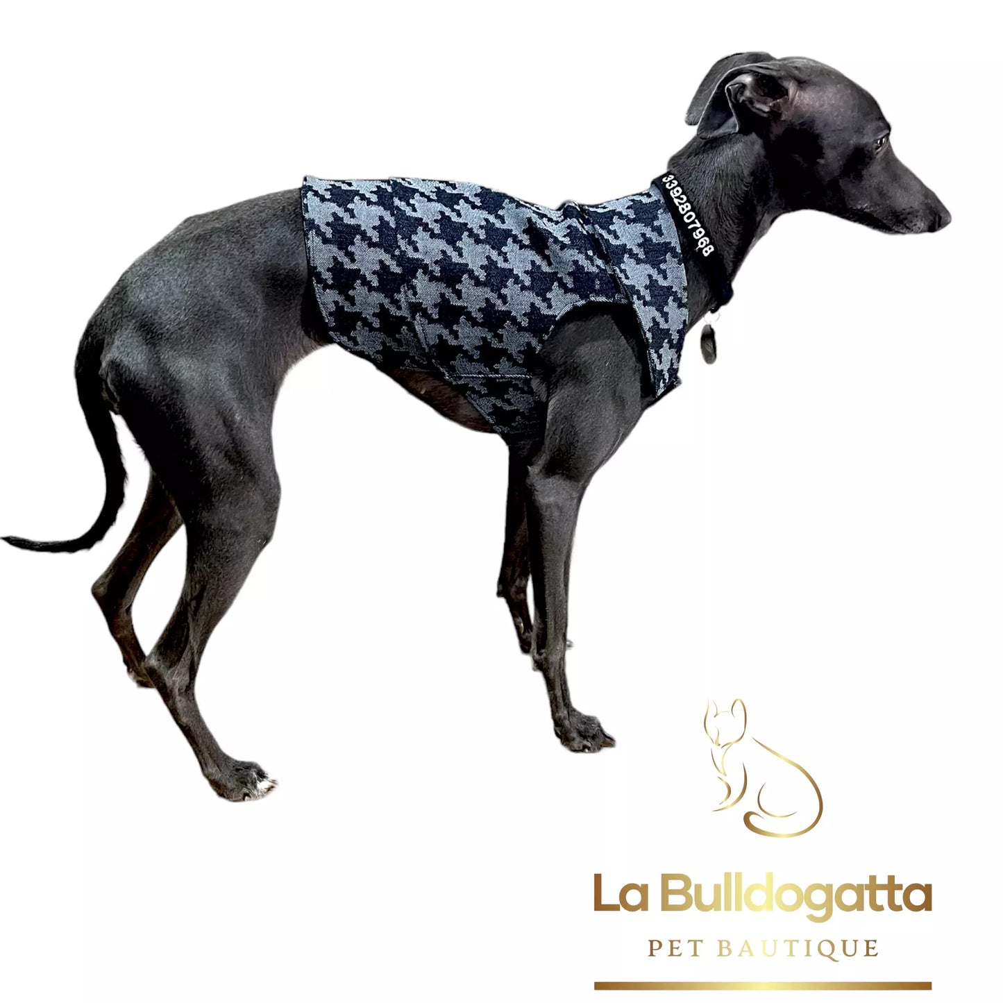 LITTLE ITALIAN GREYHOUND Houndstooth denim jacket