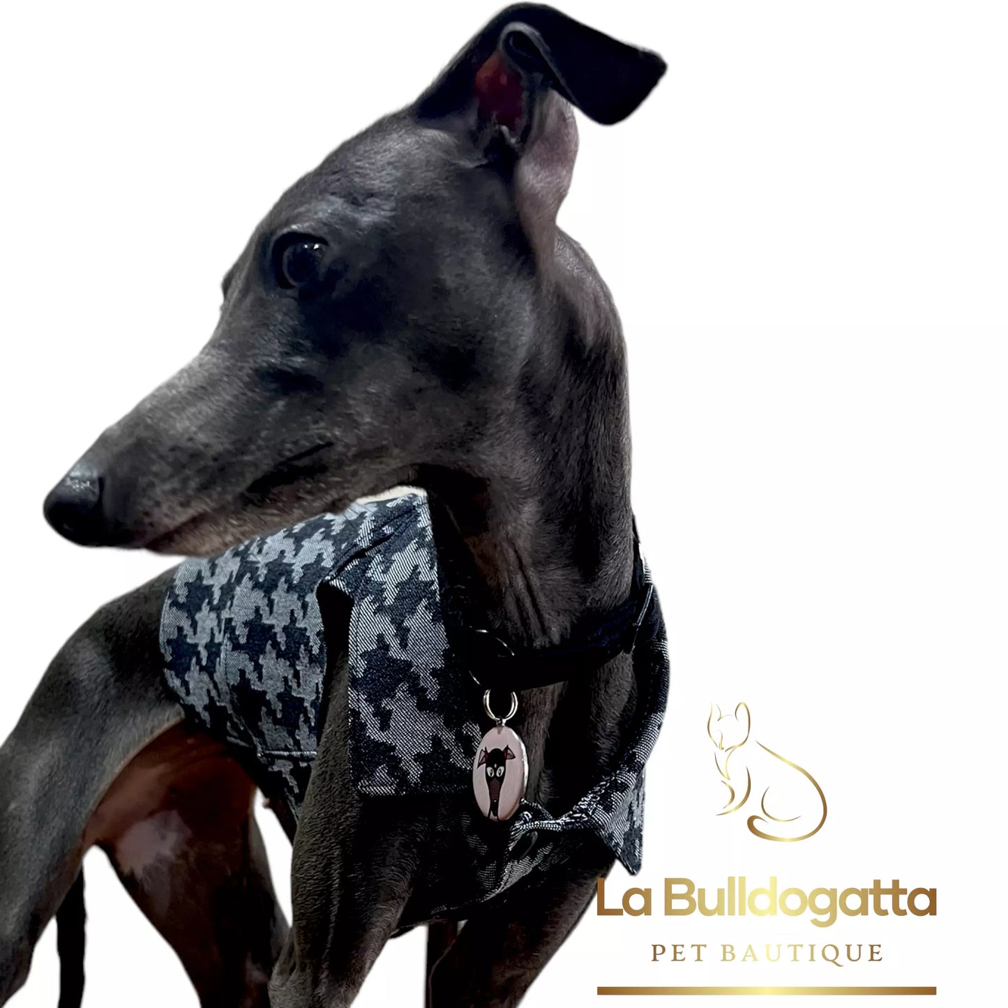 LITTLE ITALIAN GREYHOUND Houndstooth denim jacket