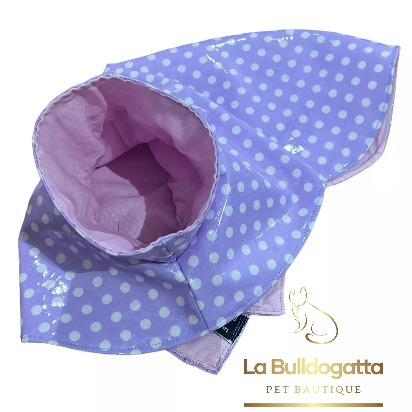 Lightweight raincoat Lilac Pois LITTLE ITALIAN GREYHOUND