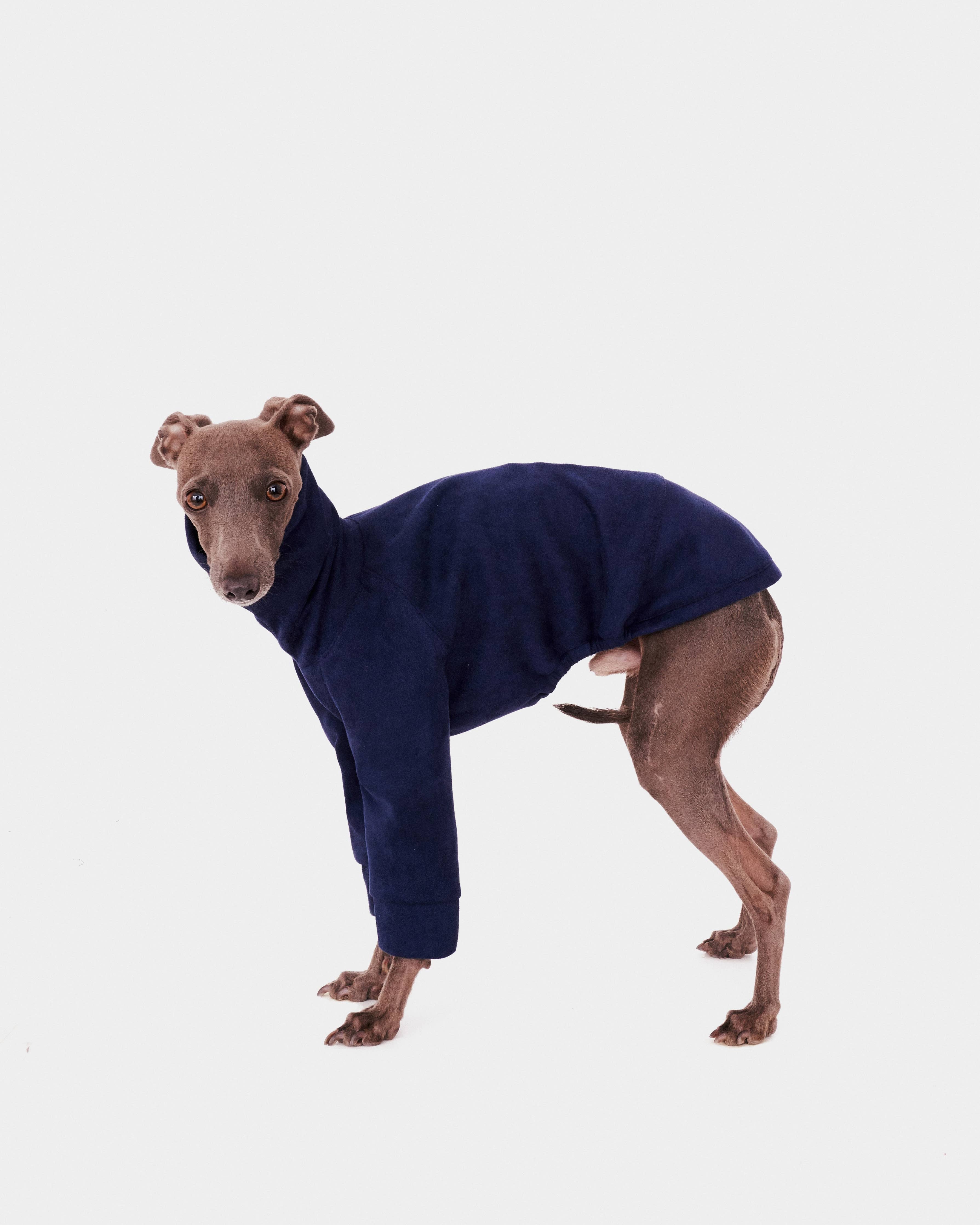 Greyhound jumper outlet warehouse